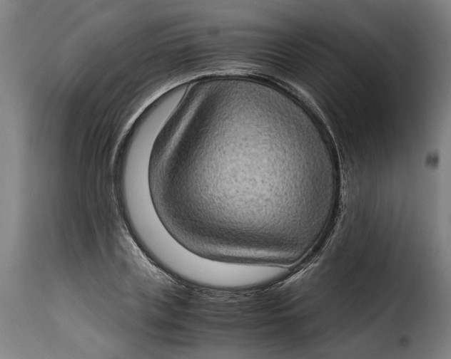 X0000115280835200911201750