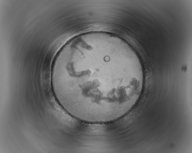 X0000115280836200911201750