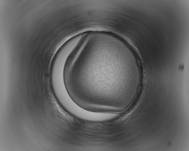 X0000115280837200911201750