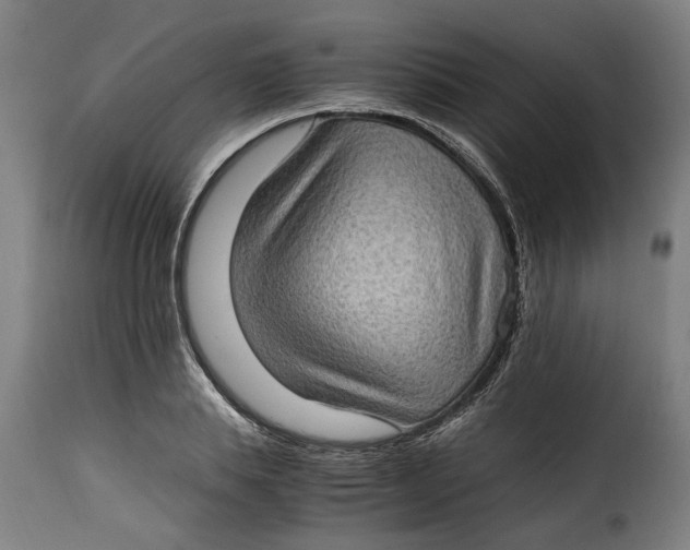 X0000115280839200911201750