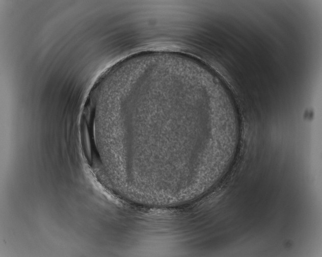 X0000115280840200911201750