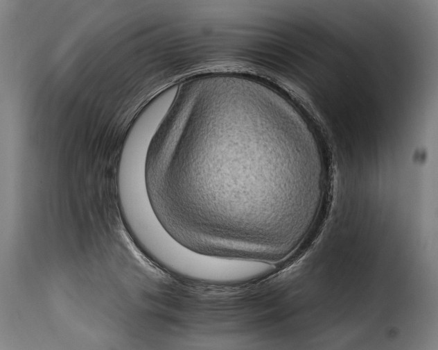 X0000115280841200911201750