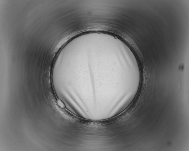 X0000115280842200911201750