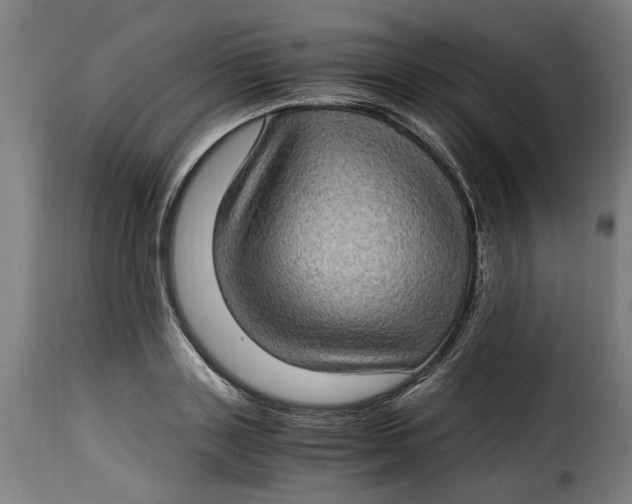 X0000115280843200911201750