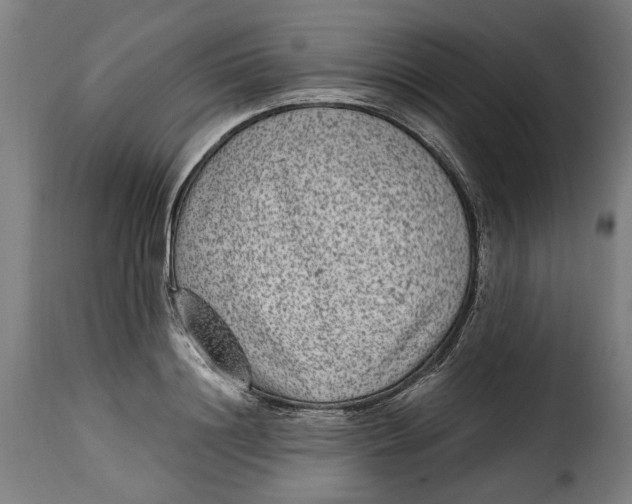 X0000115280844200911201750