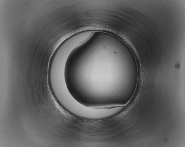 X0000115280845200911201750