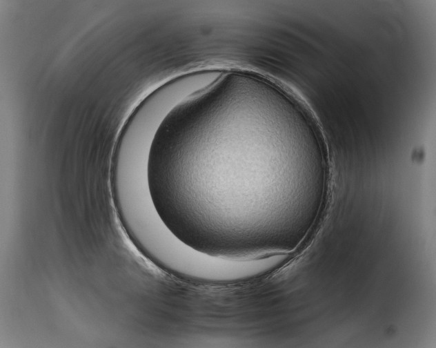 X0000115280847200911201750