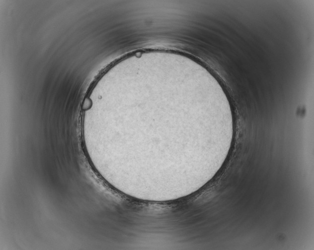 X0000115280848200911201750