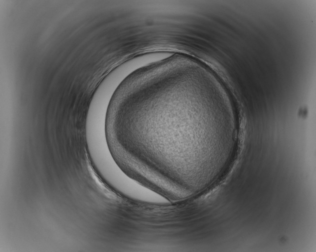 X0000115280849200911201750