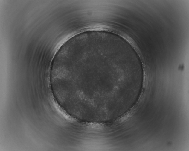 X0000115280850200911201750