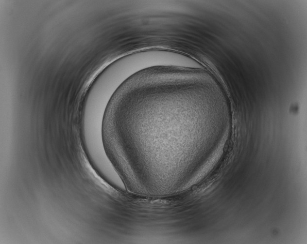 X0000115280851200911201750