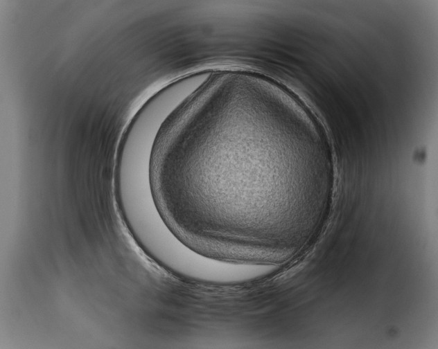 X0000115280853200911201750