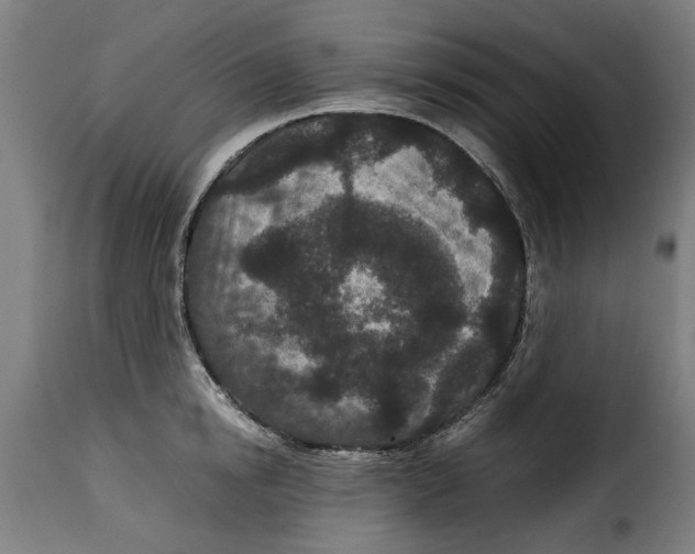 X0000115280854200911201750