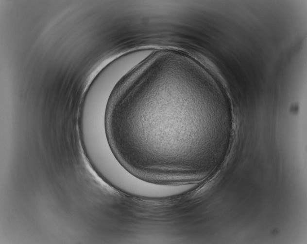 X0000115280855200911201750