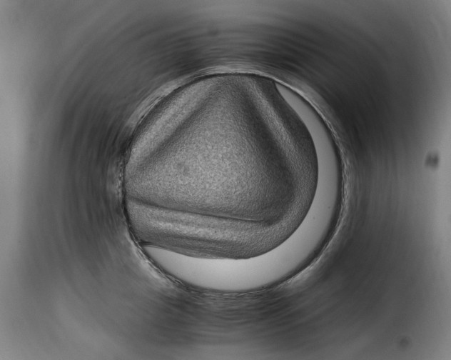 X0000115280857200911201750