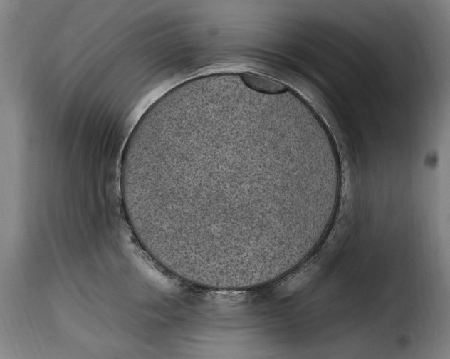 X0000115280858200911201750