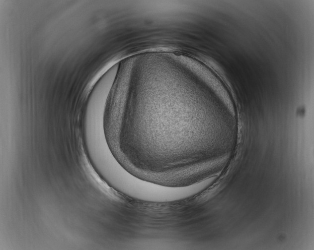 X0000115280859200911201750