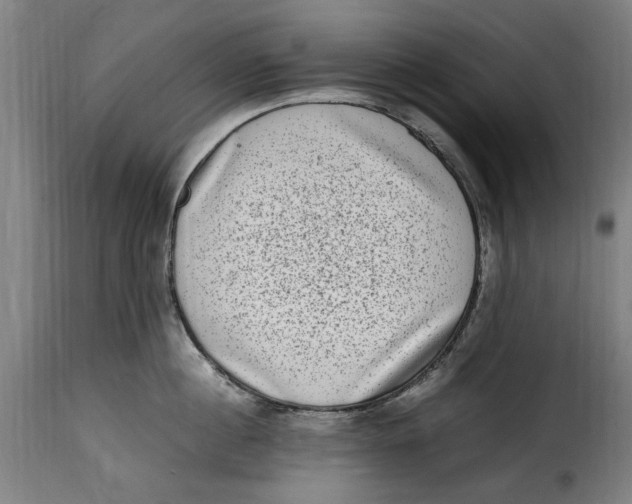 X0000115280860200911201750