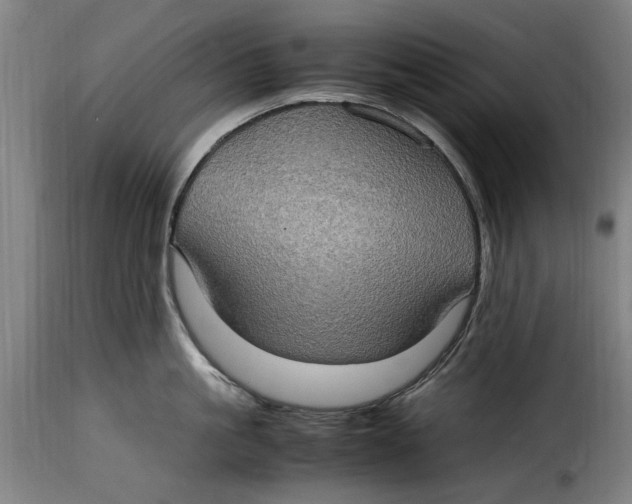 X0000115280861200911201750