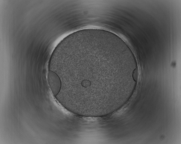 X0000115280862200911201750