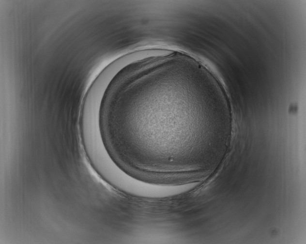 X0000115280863200911201750