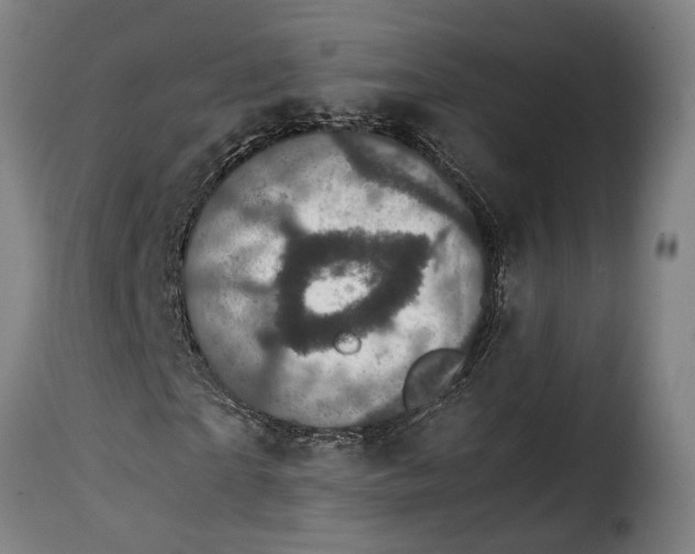 X0000115280865200911201750