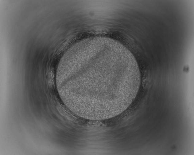 X0000115280866200911201750