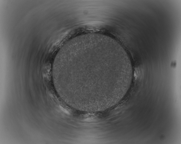 X0000115280867200911201750