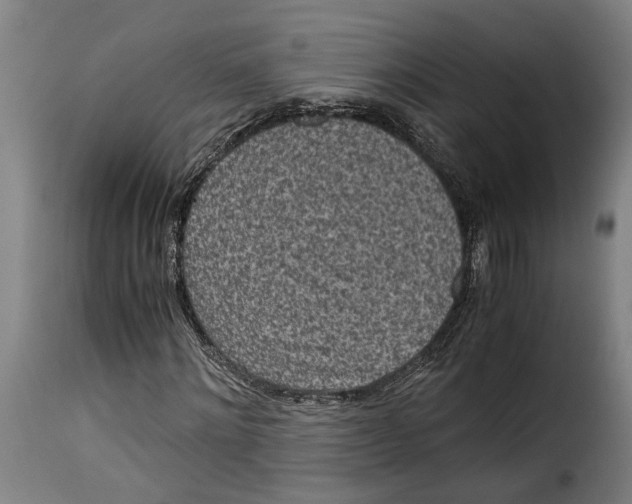 X0000115280868200911201749