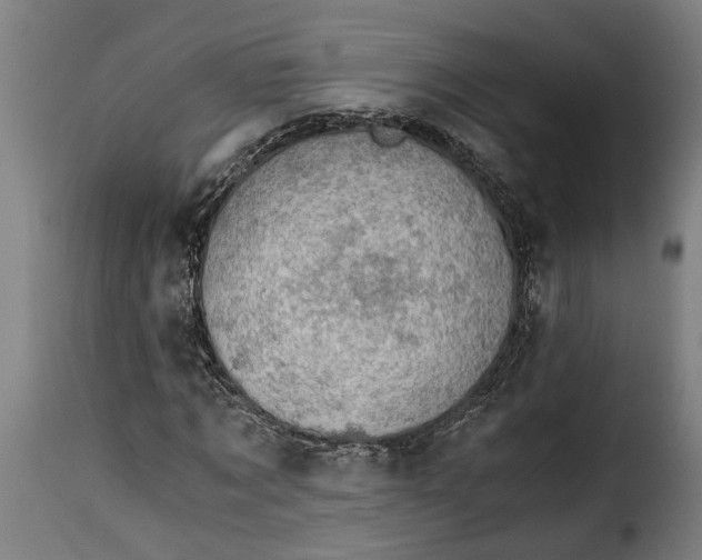 X0000115280869200911201749