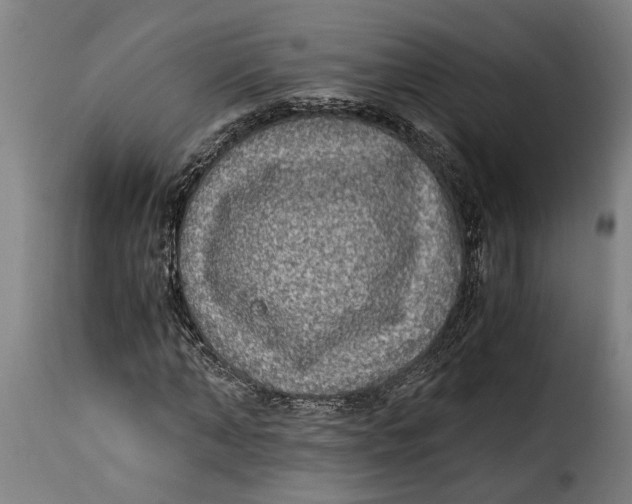 X0000115280870200911201749