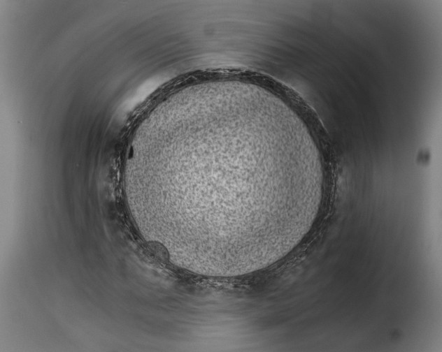 X0000115280871200911201749