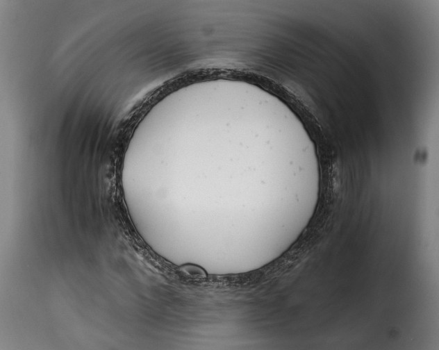 X0000115280872200911201749