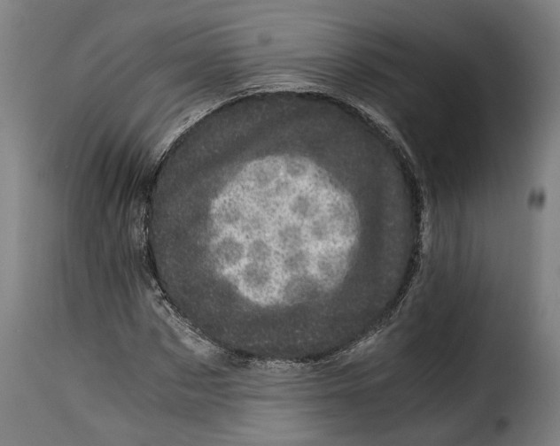 X0000115280873200911201749