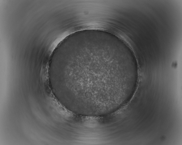 X0000115280875200911201749