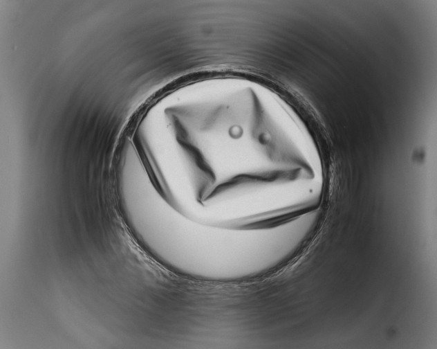 X0000115280876200911201749