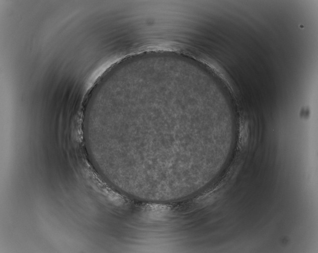 X0000115280878200911201749