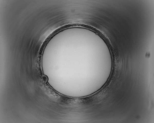 X0000115280879200911201749