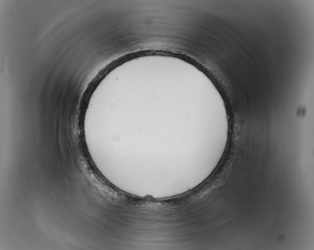 X0000115280880200911201749