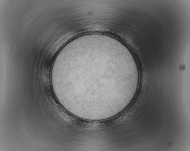 X0000115280881200911201749