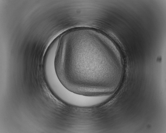 X0000115280884200911201749