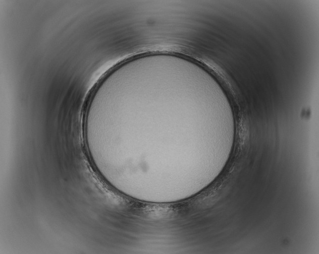 X0000115280886200911201749