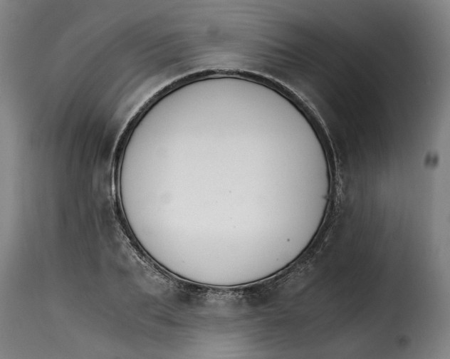 X0000115280887200911201749