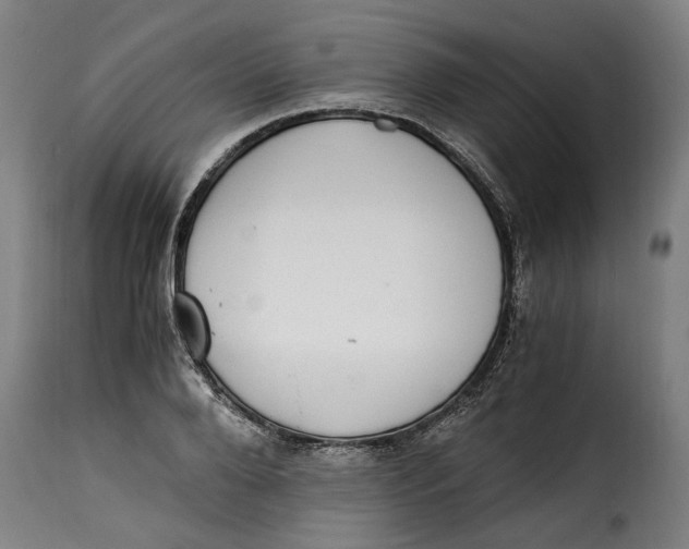 X0000115280888200911201749