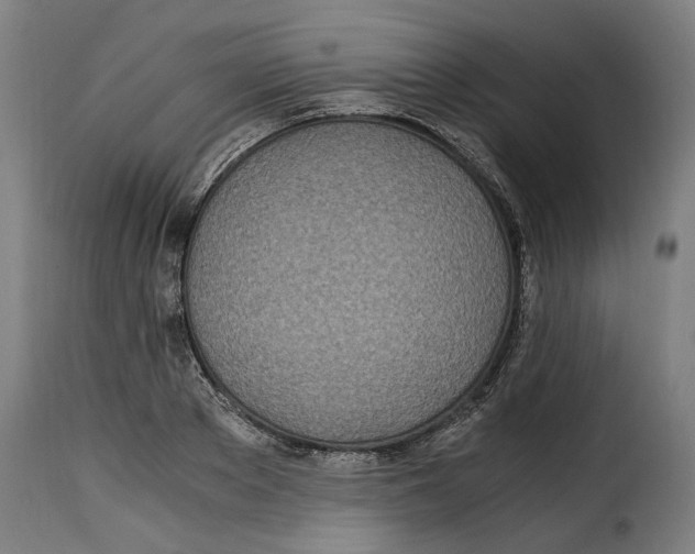 X0000115280889200911201749