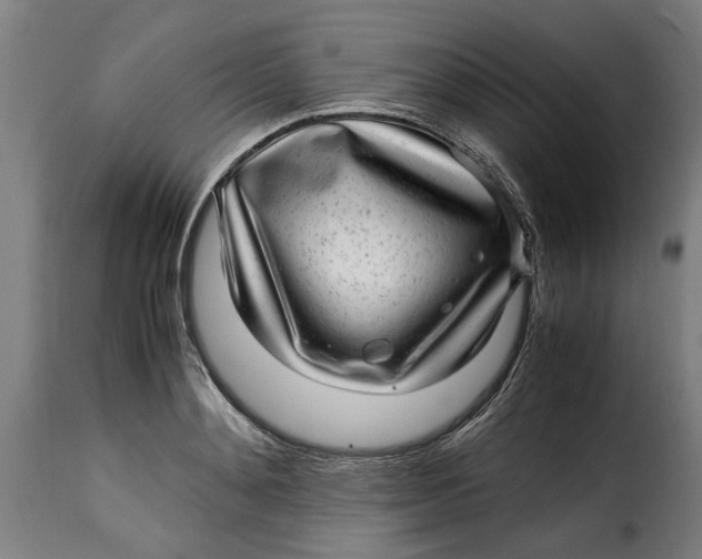 X0000115280892200911201749