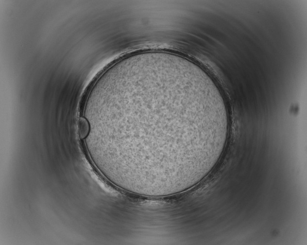 X0000115280894200911201749