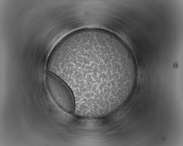 X0000115280895200911201749