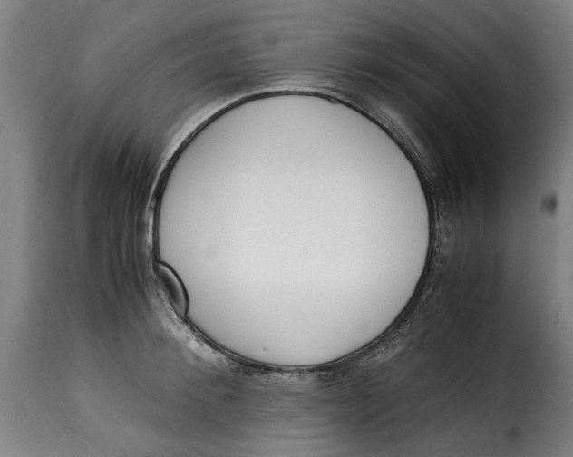 X0000115280900200911201749