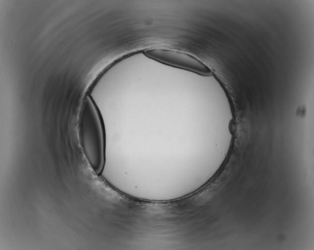 X0000115280904200911201749